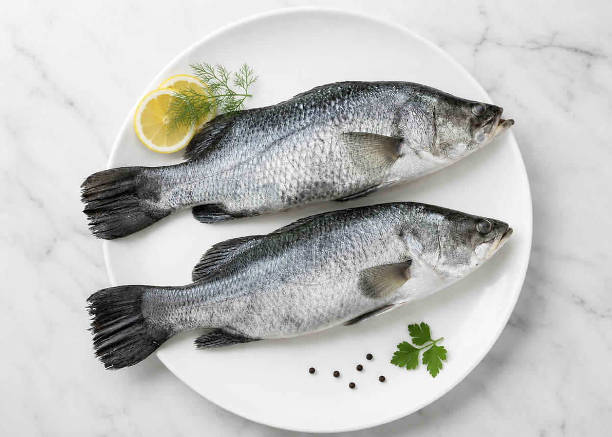 Seabass / Pandugappa