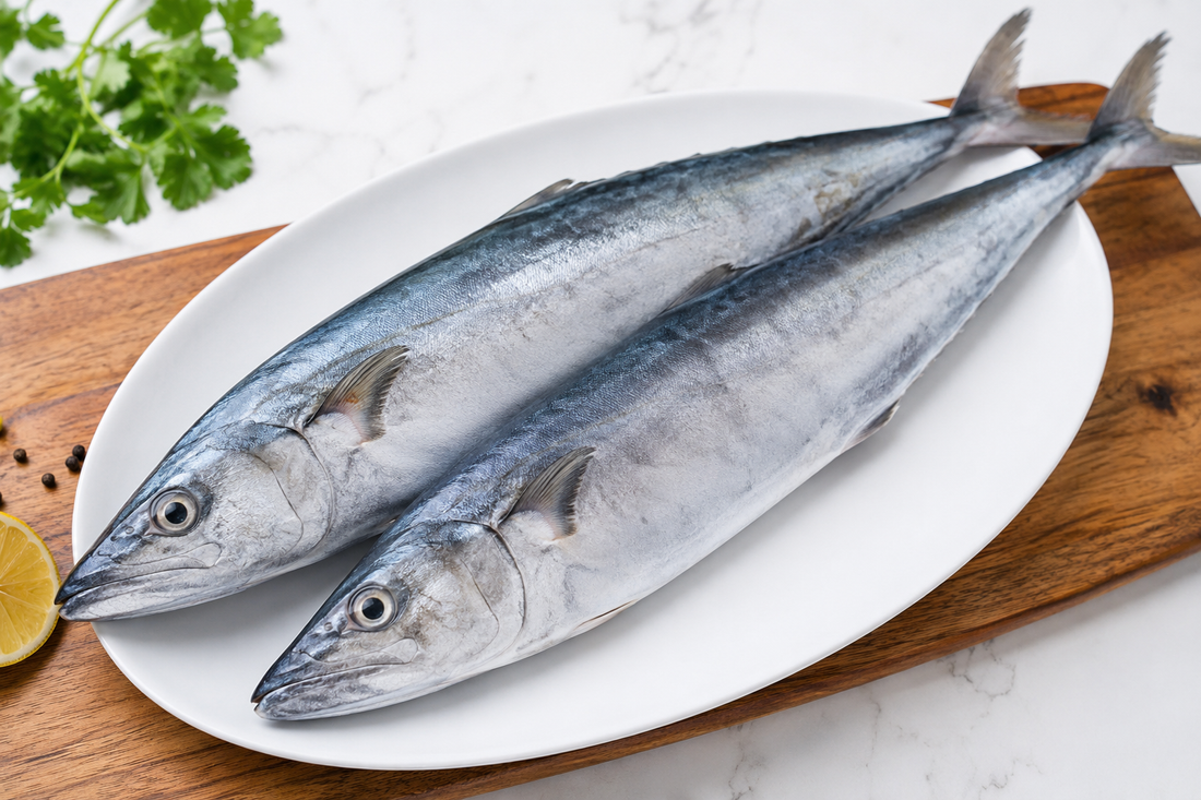 Konaavu /Kingfish